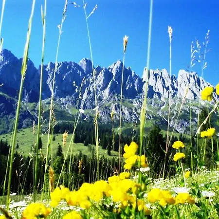 Gaestehaus Gschwandtner